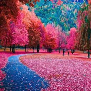 Meet your Posher, Bridgette